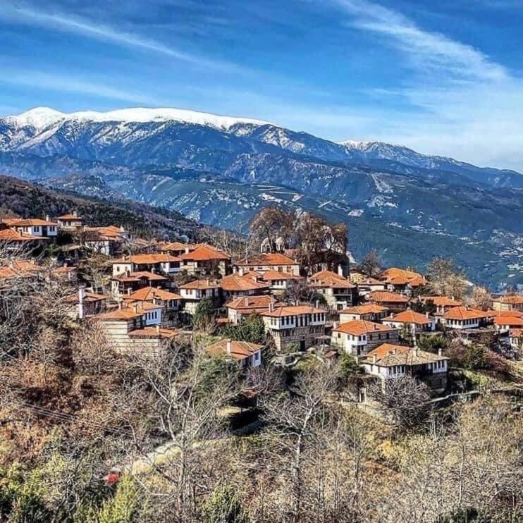 Ξενώνας Τ'Αρχοντικό Palaios Panteleimonas Esterno foto